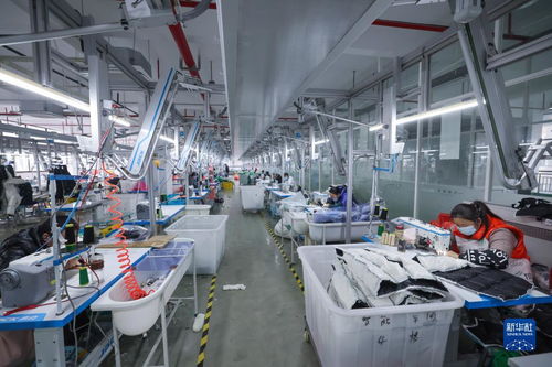 湖州童裝之都 以輔料制造為基石，從“做產品”到“創品牌”的產業升級之路